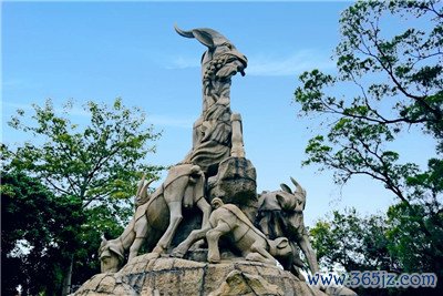 深圳洋马资源：打造顶级享受